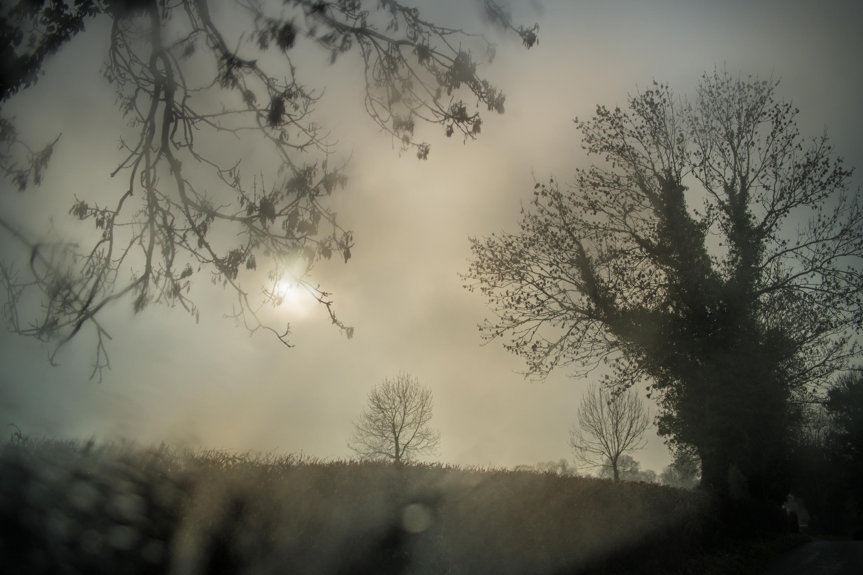 07.04.27 - The Art Of Being Seen: KYOTO with Todd Hido & Jesse Marlow