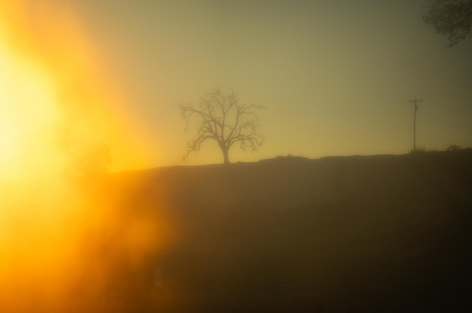 03.10.26 SYDNEY - Todd Hido - Critical Decisions