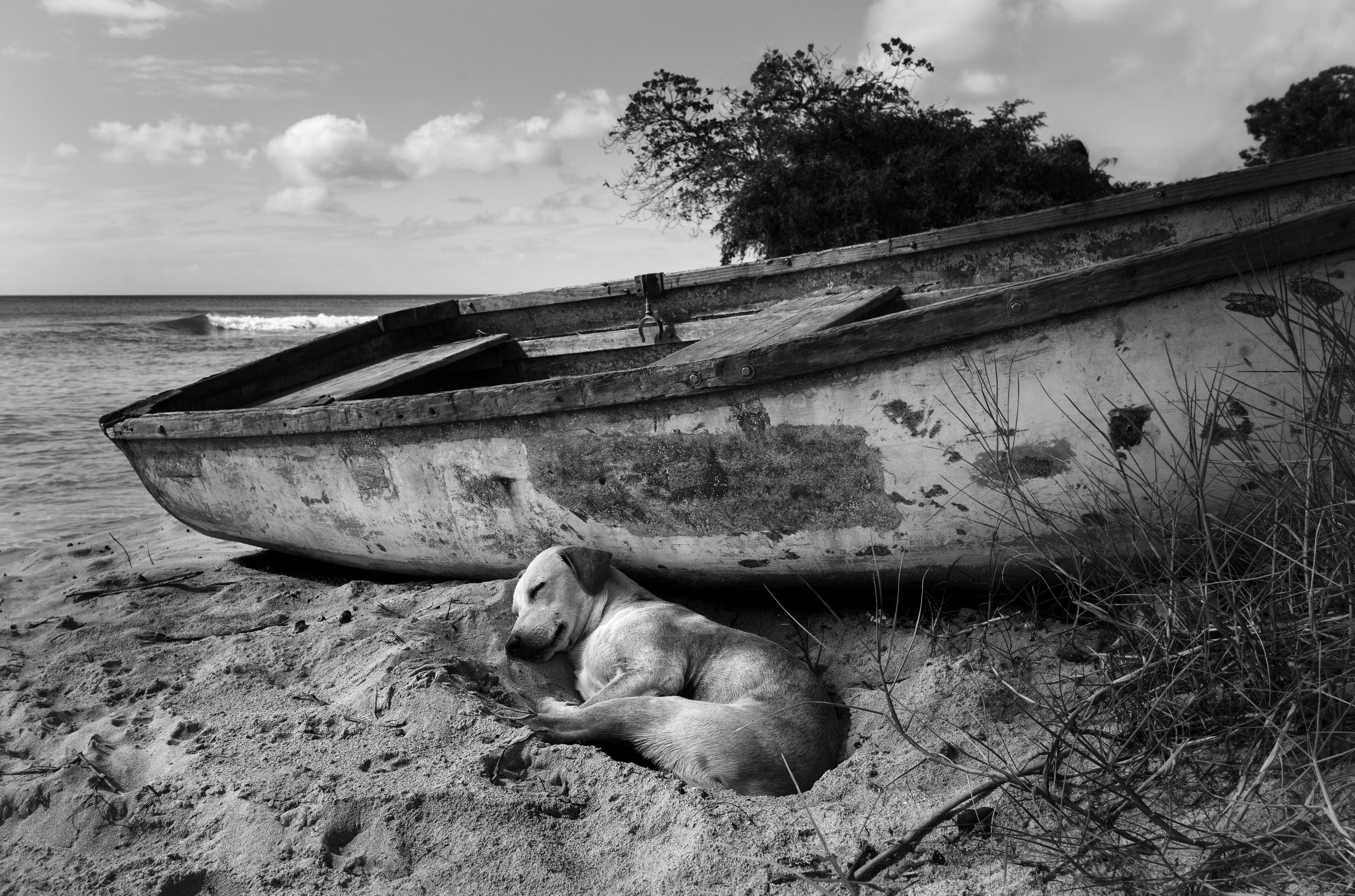 20.02.27 SYDNEY - Contrast & Chaos: Street Photography Weekend with Alan Schaller