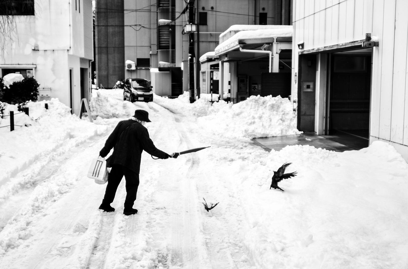 20.02.27 SYDNEY - Contrast & Chaos: Street Photography Weekend with Alan Schaller