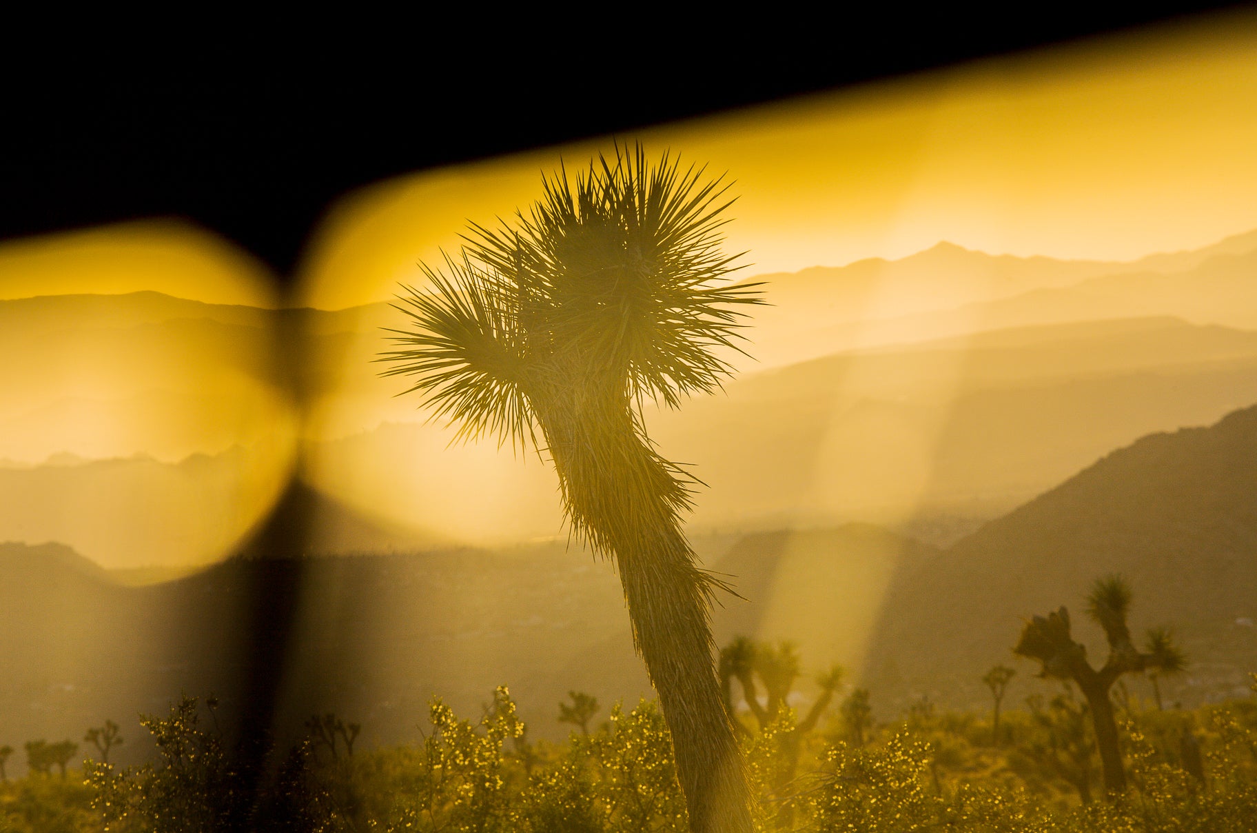 21.02.26 SYDNEY - Photo Fundamentals with Bill Green