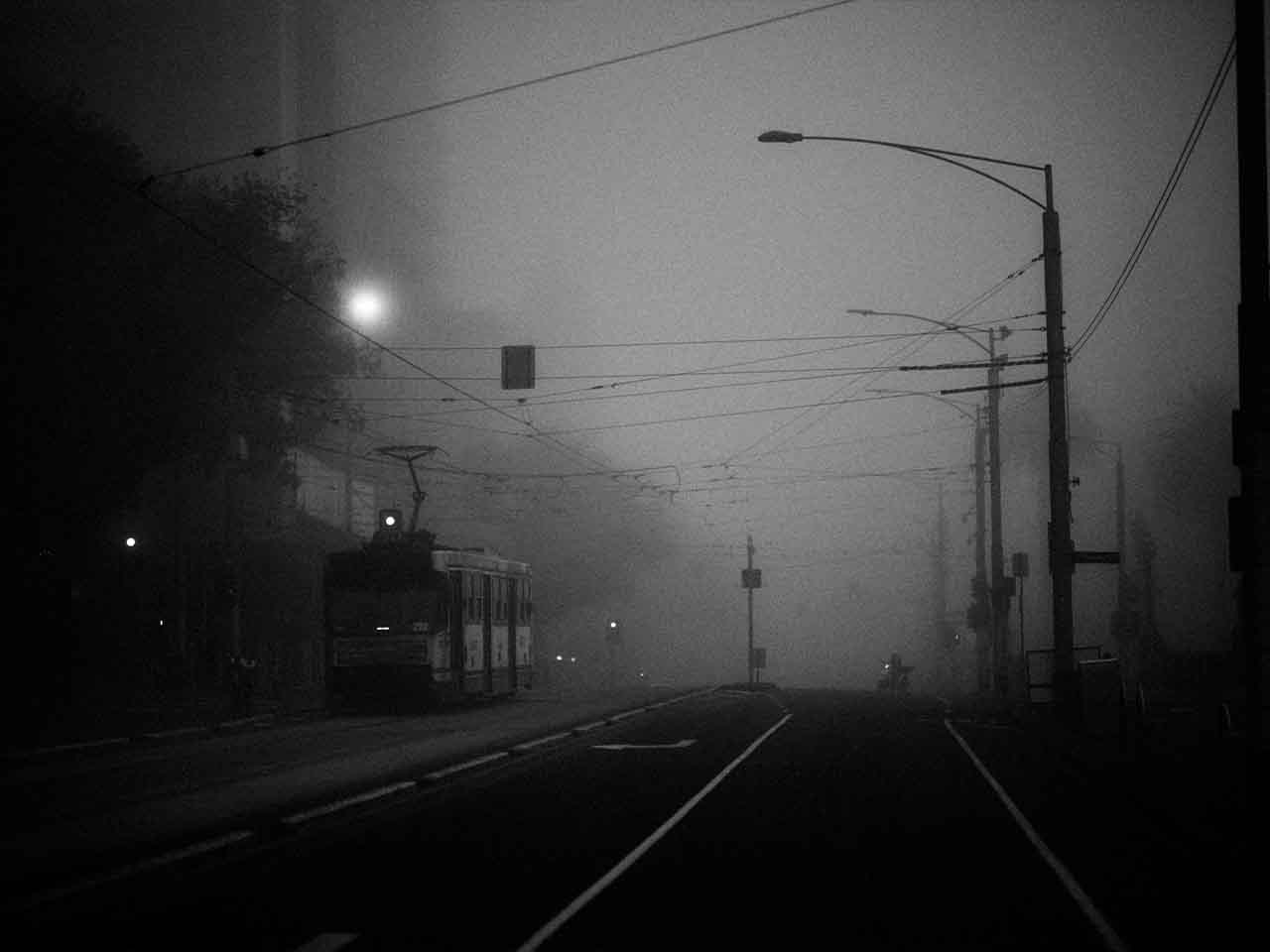 A foggy Melbourne street with a tram