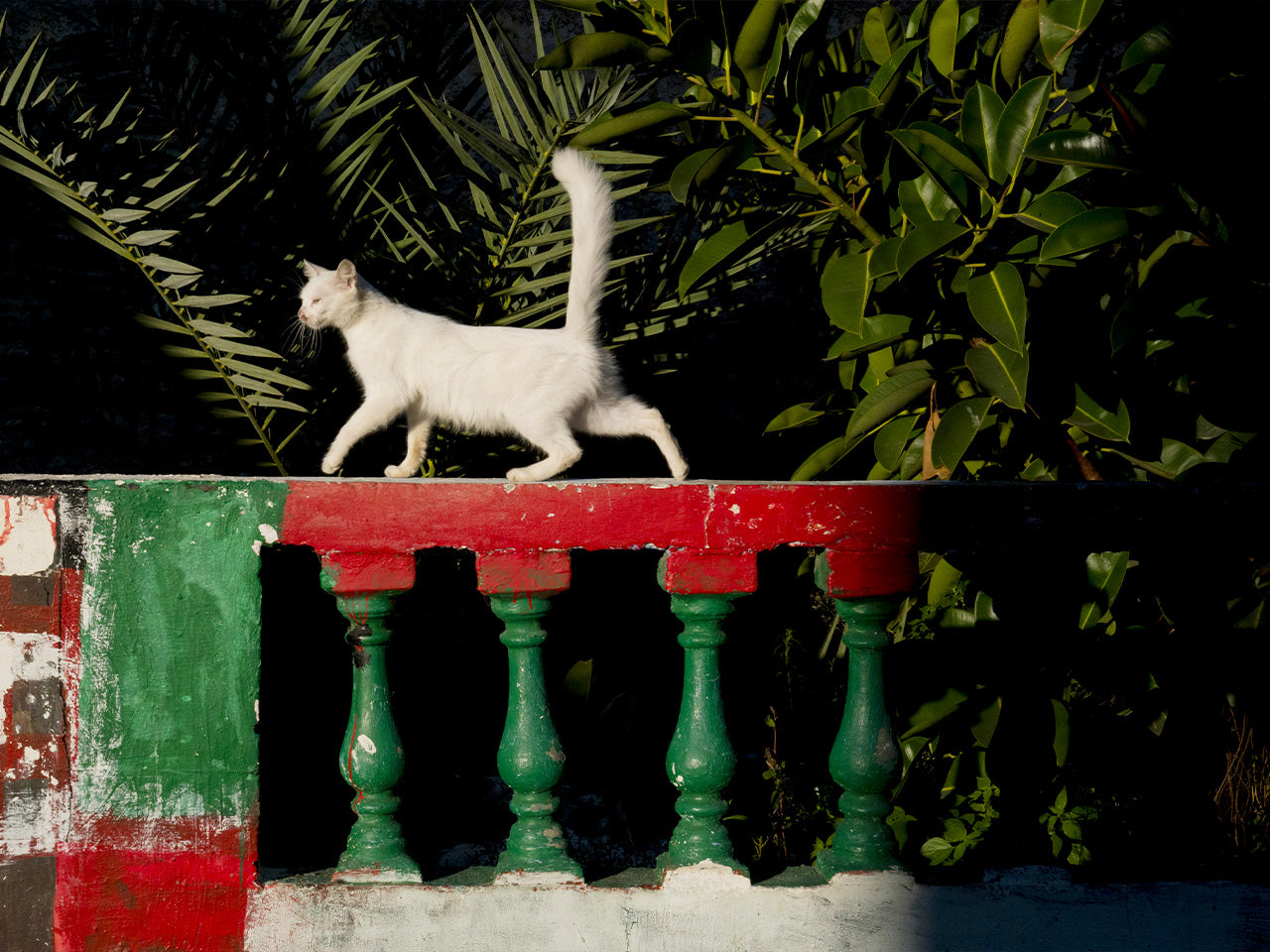 13.10.25 - MOROCCO - A Photographer's Visual Odyssey with Jesse Marlow & Stephen Dupont