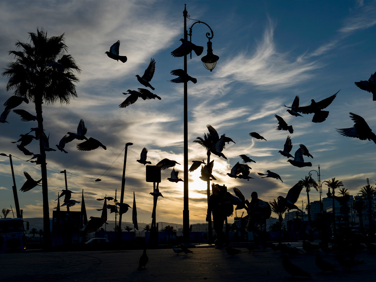 13.10.25 - MOROCCO - A Photographer's Visual Odyssey with Jesse Marlow & Stephen Dupont