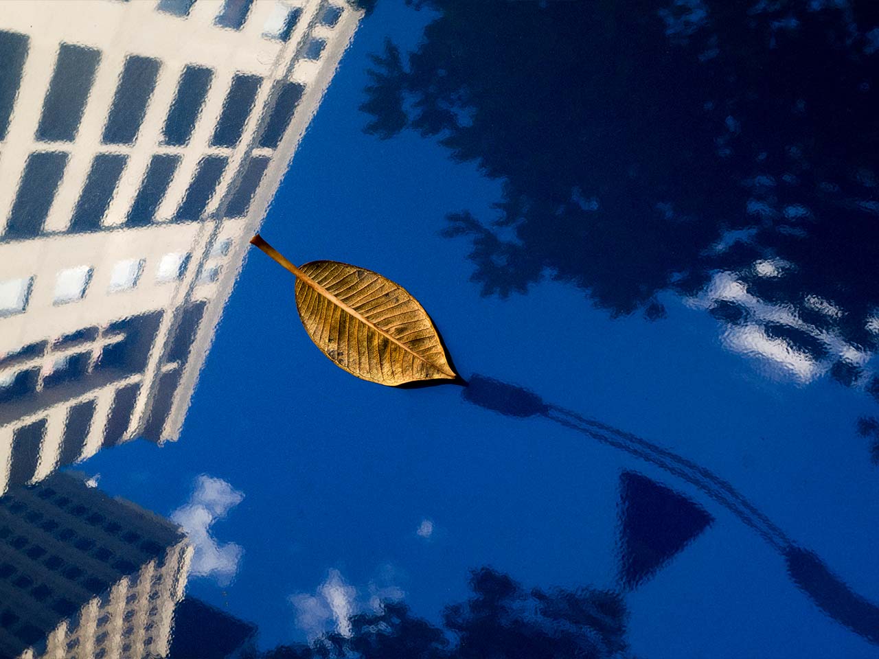 14.03.26 SYDNEY - Streets of Sydney with Jesse Marlow