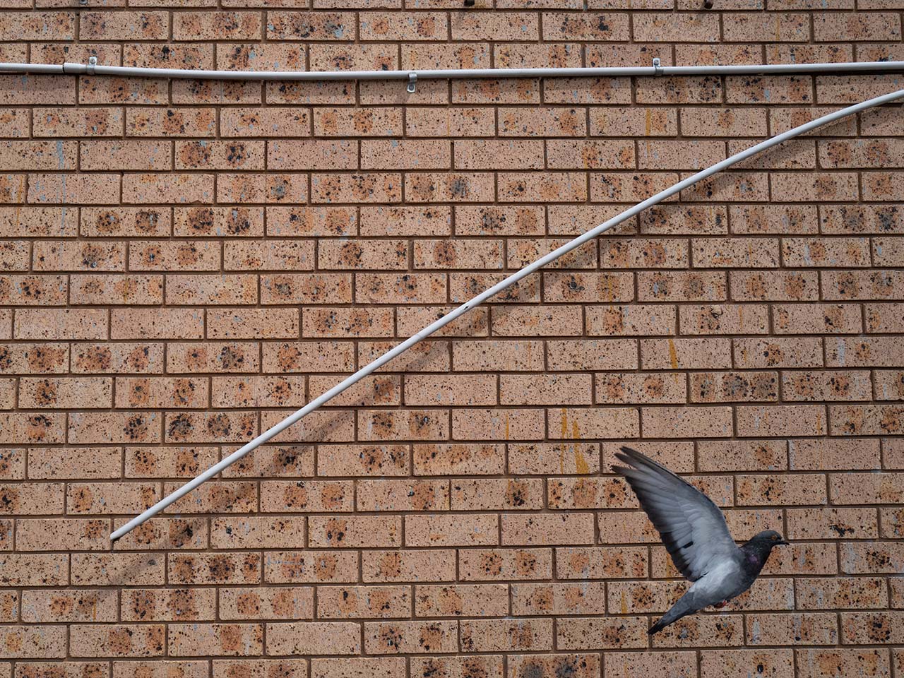 14.03.26 SYDNEY - Streets of Sydney with Jesse Marlow