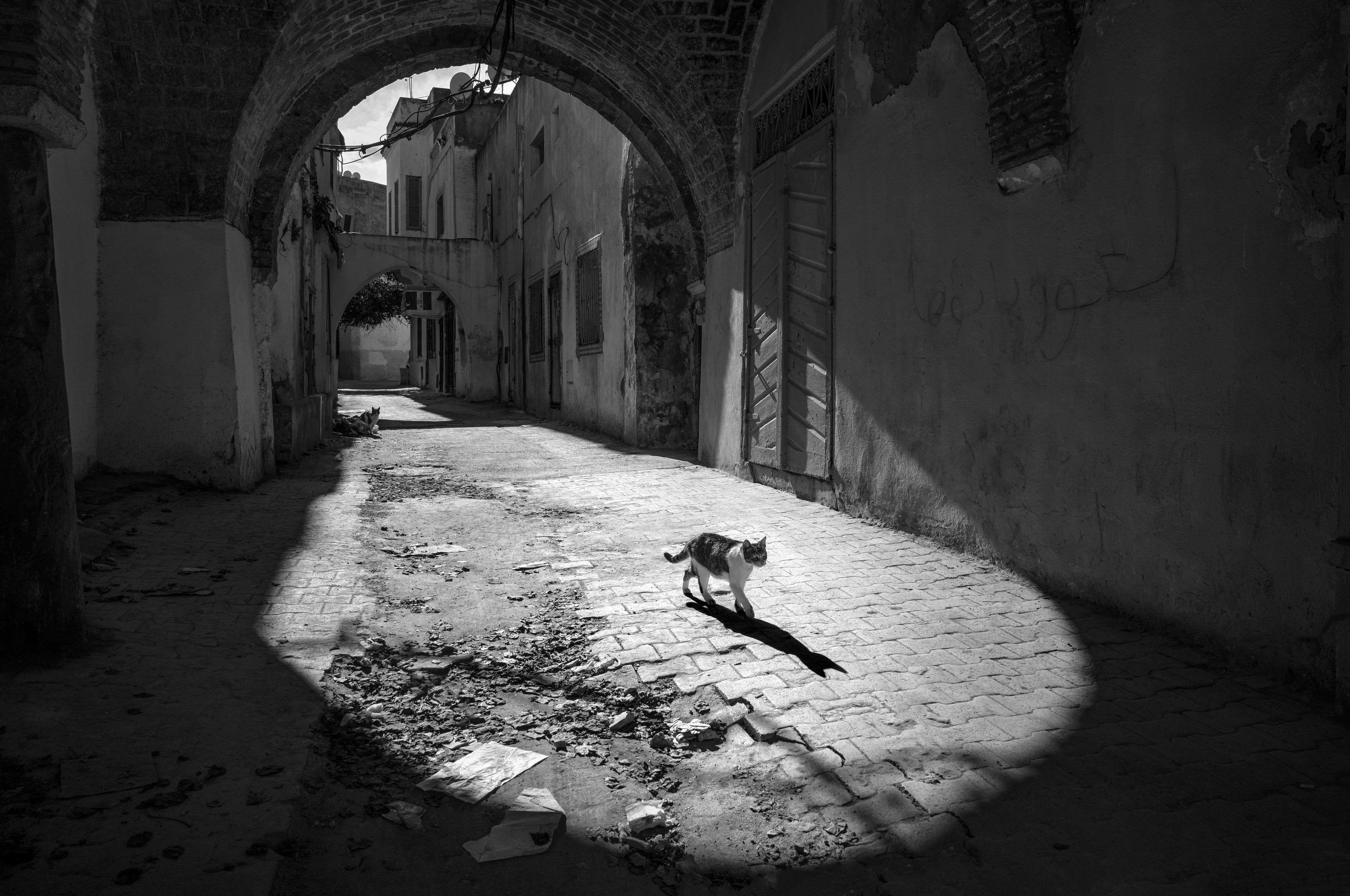 20.02.27 SYDNEY - Contrast & Chaos: Street Photography Weekend with Alan Schaller