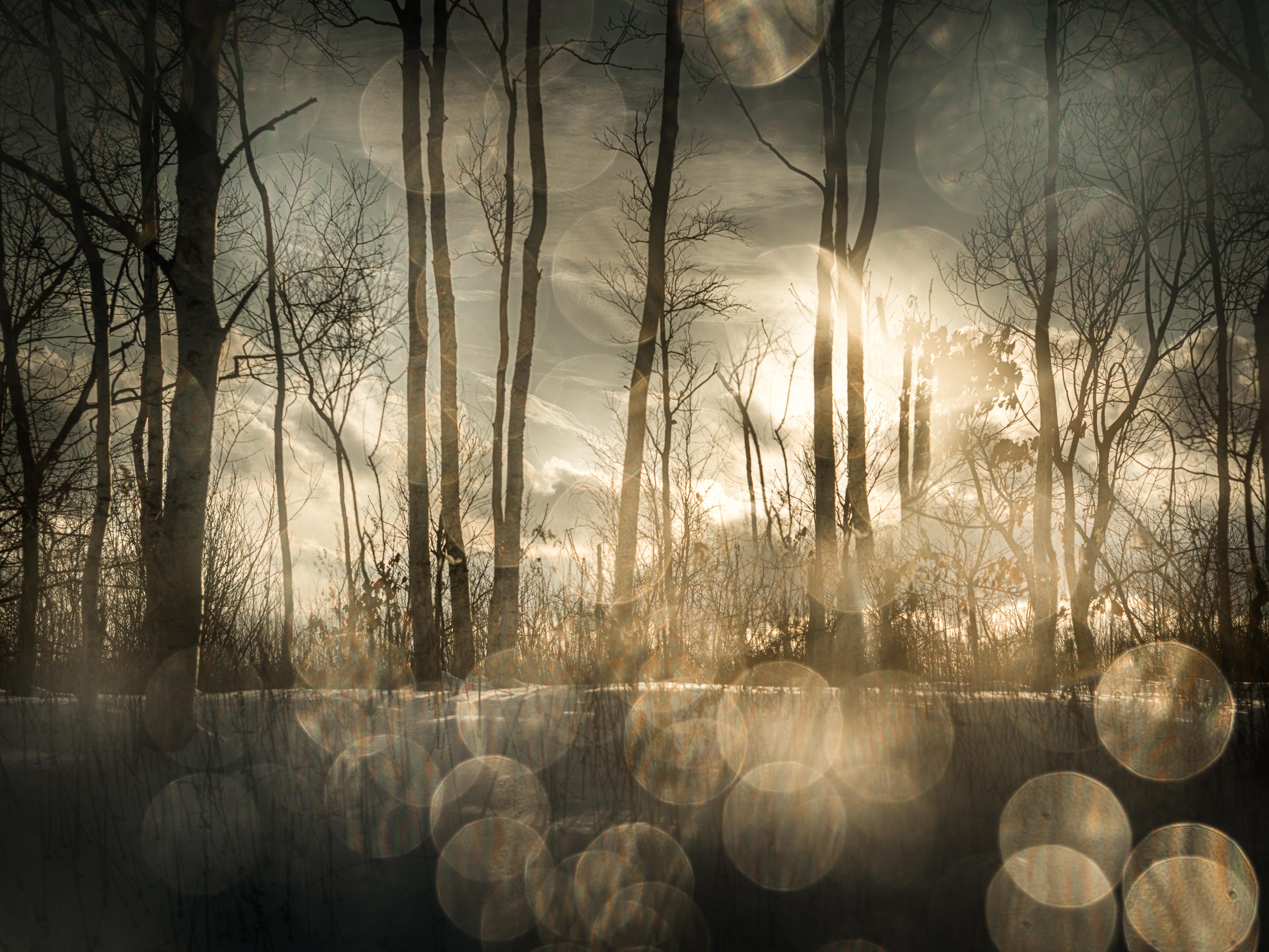 07.04.27 - The Art Of Being Seen: KYOTO with Todd Hido & Jesse Marlow