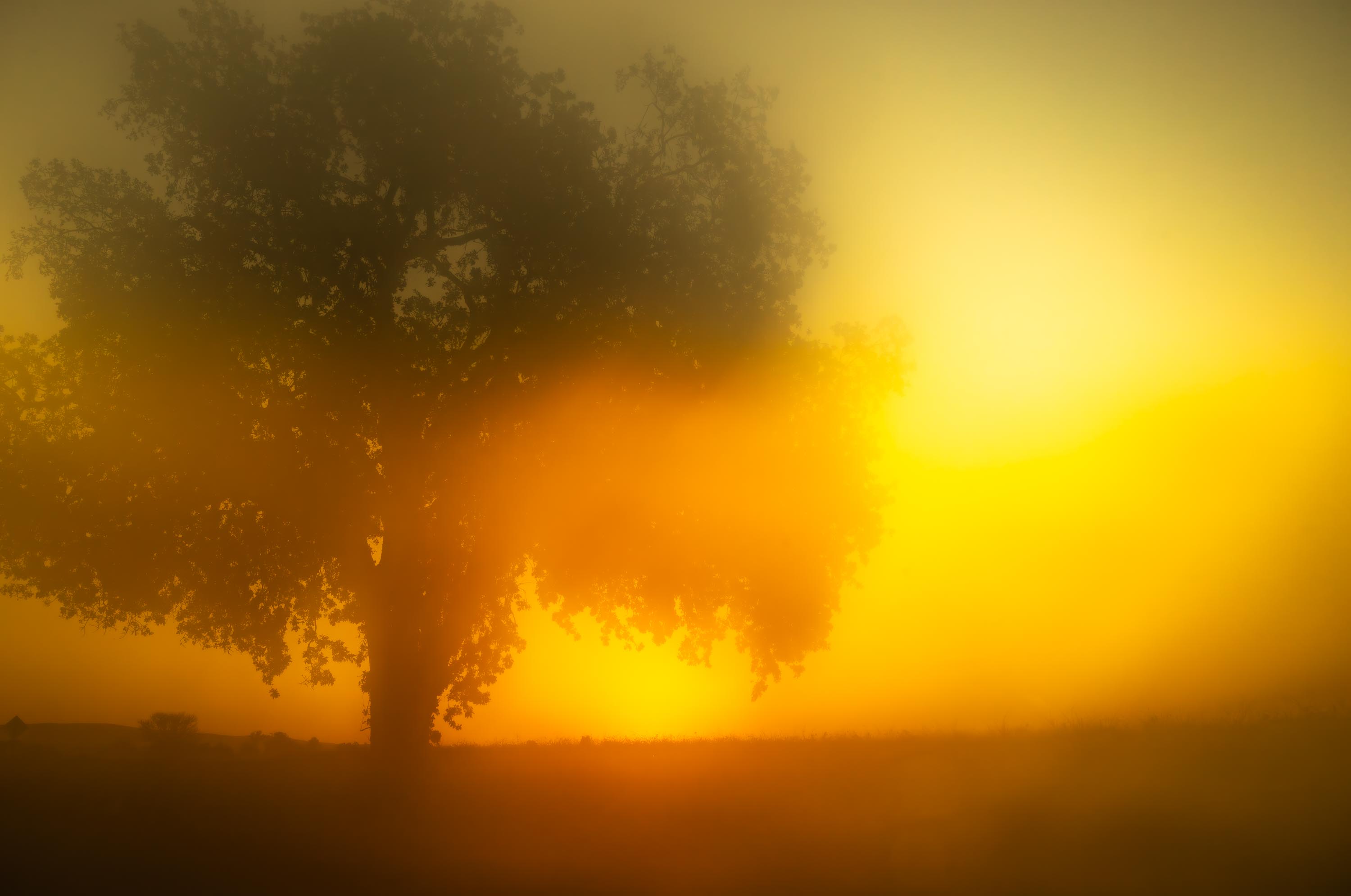 07.04.27 - The Art Of Being Seen: KYOTO with Todd Hido & Jesse Marlow