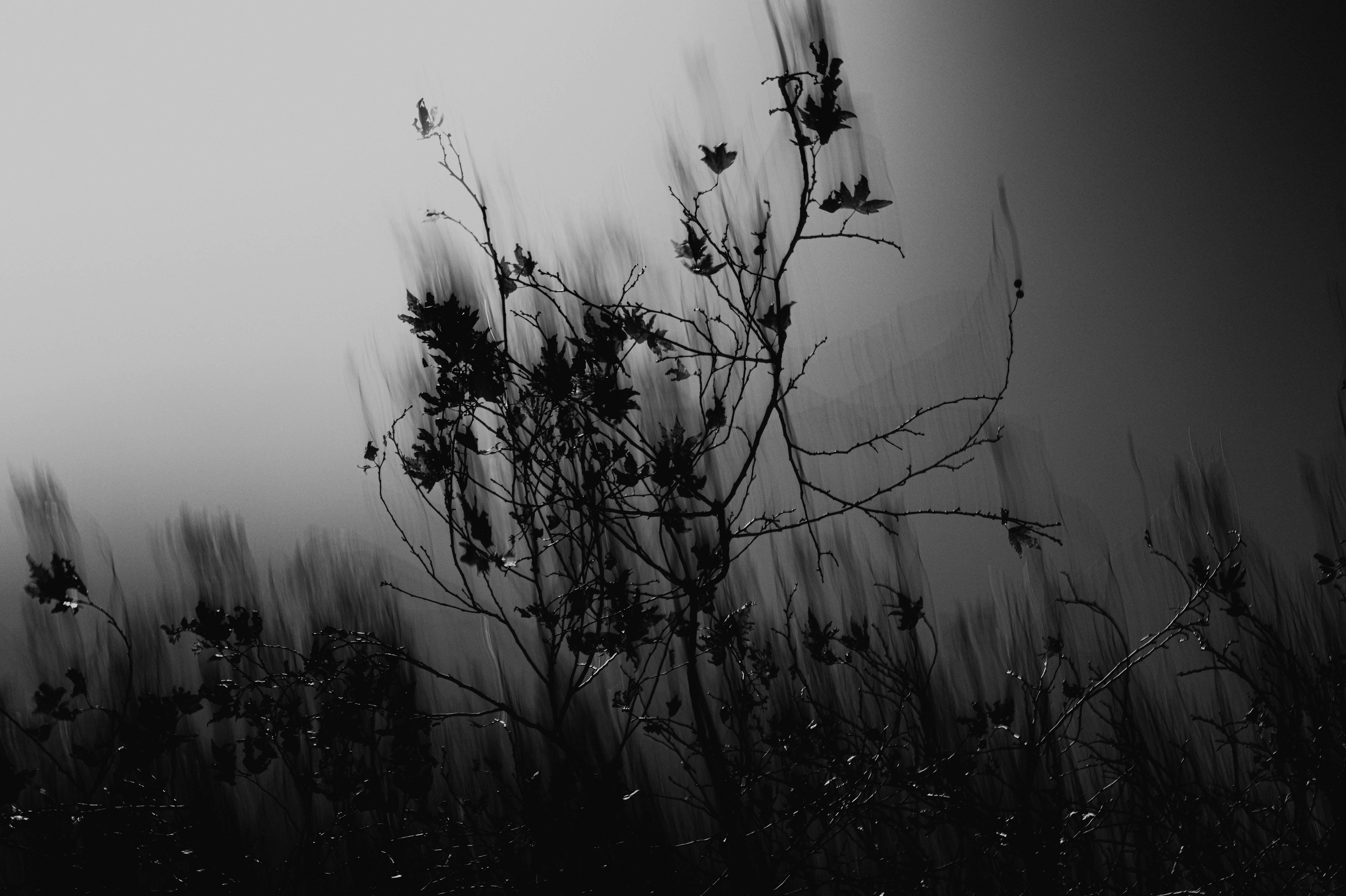 18.07.26 MELBOURNE - Street Light: A Weekend of Street Photography with Knox Bertie