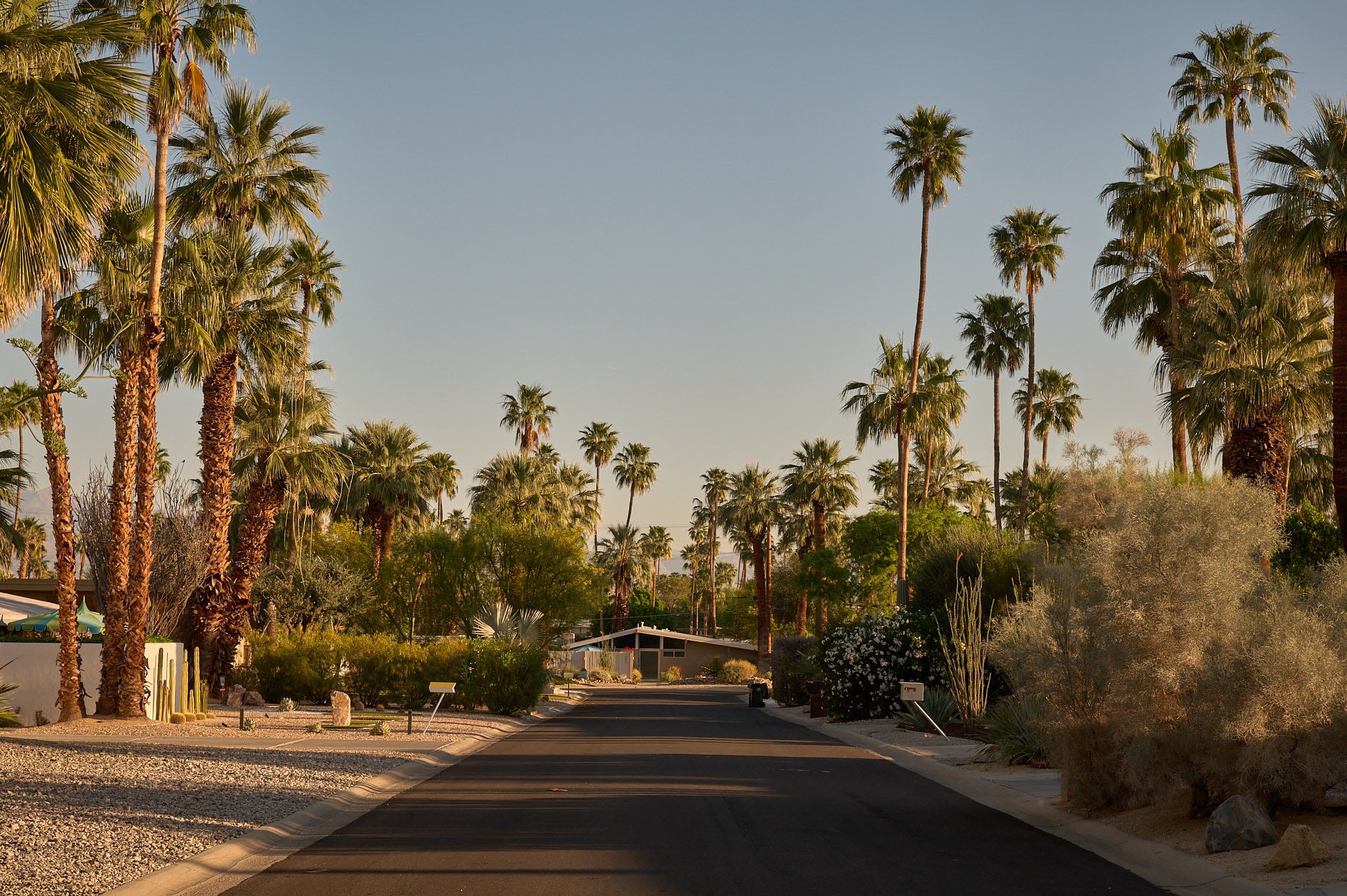 15.03.27 - Built Perspectives: Palm Springs with Jack Lovel
