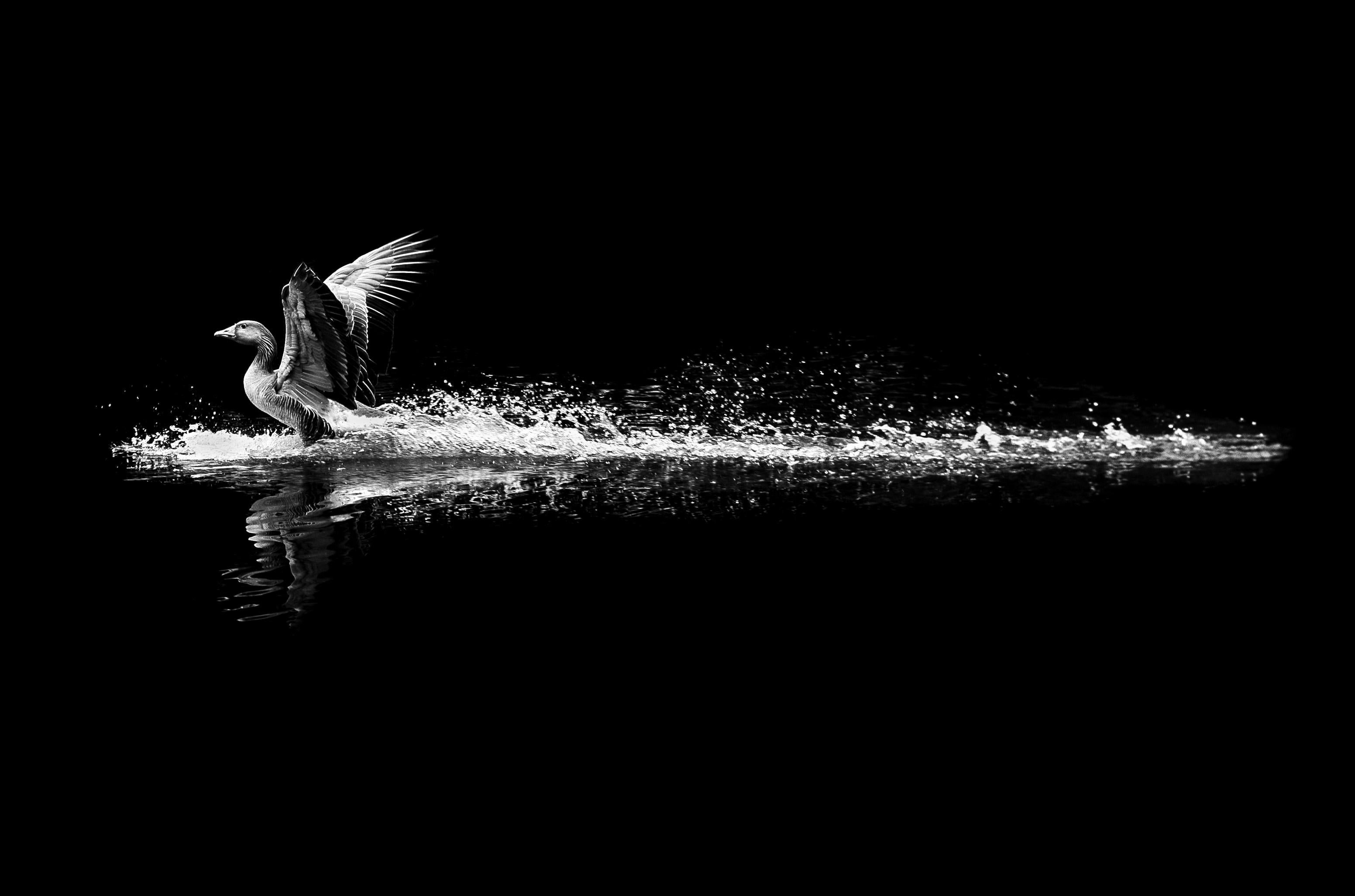 20.02.27 SYDNEY - Contrast & Chaos: Street Photography Weekend with Alan Schaller