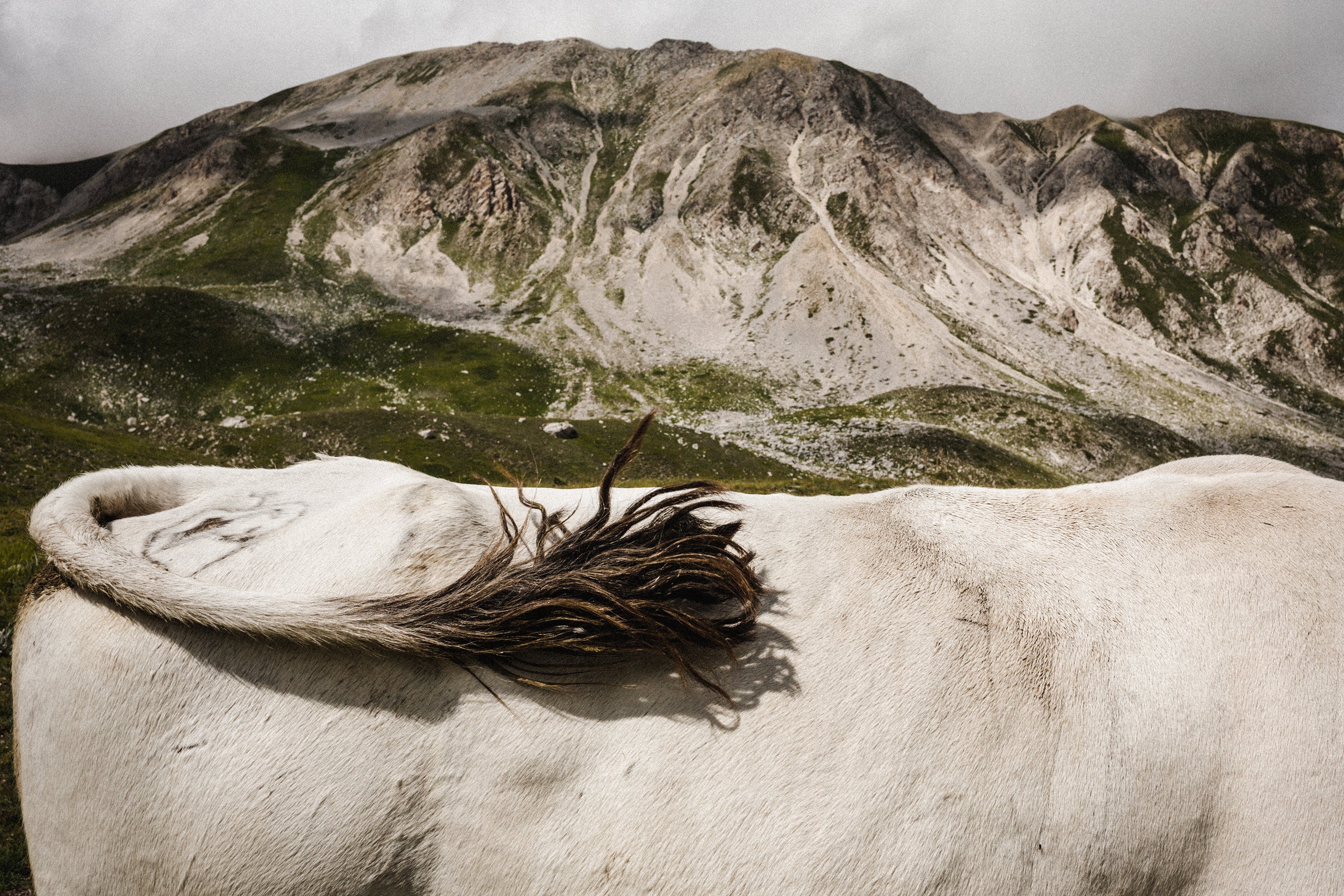 Photo by Giuseppe Nucci