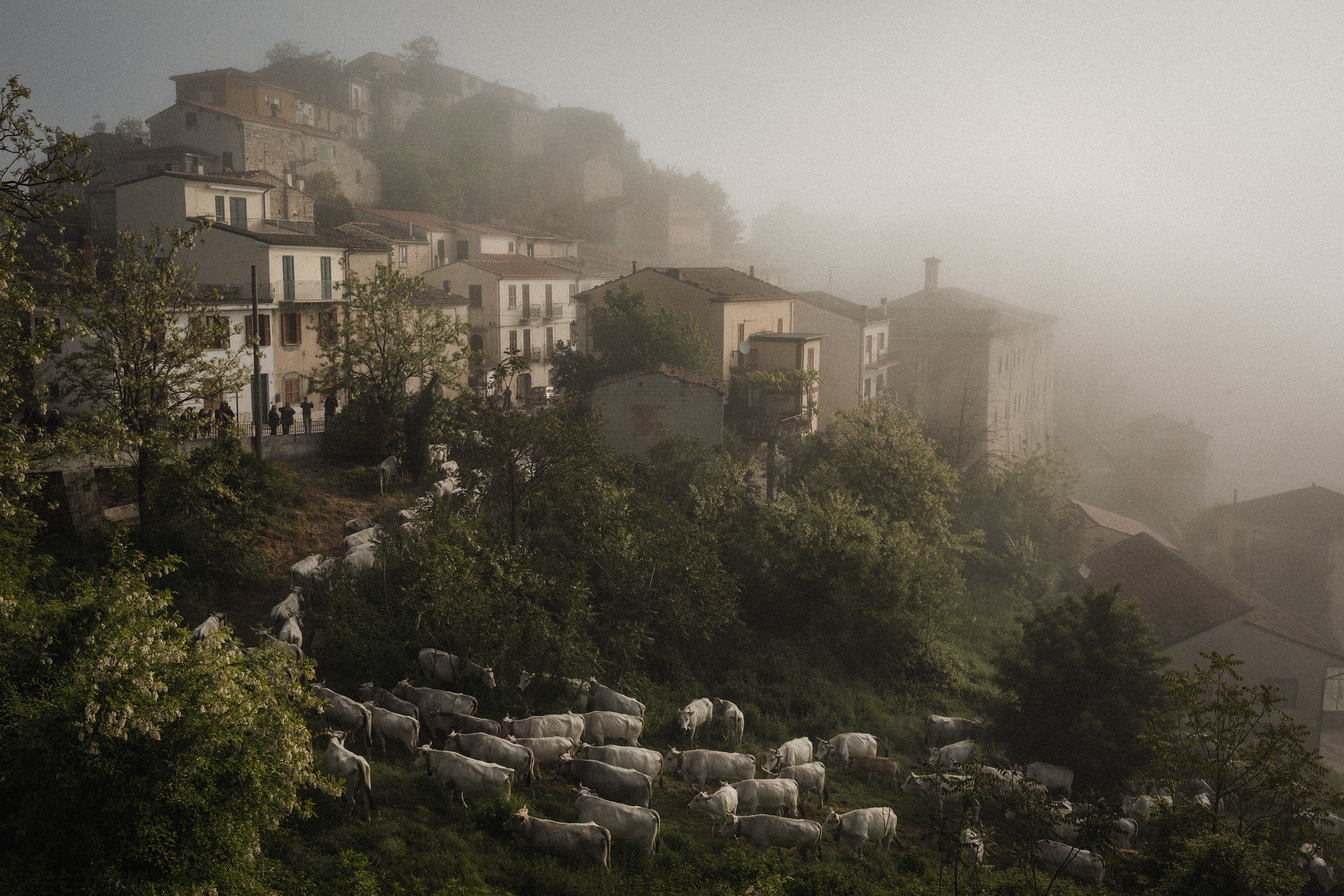 Photo by Giuseppe Nucci