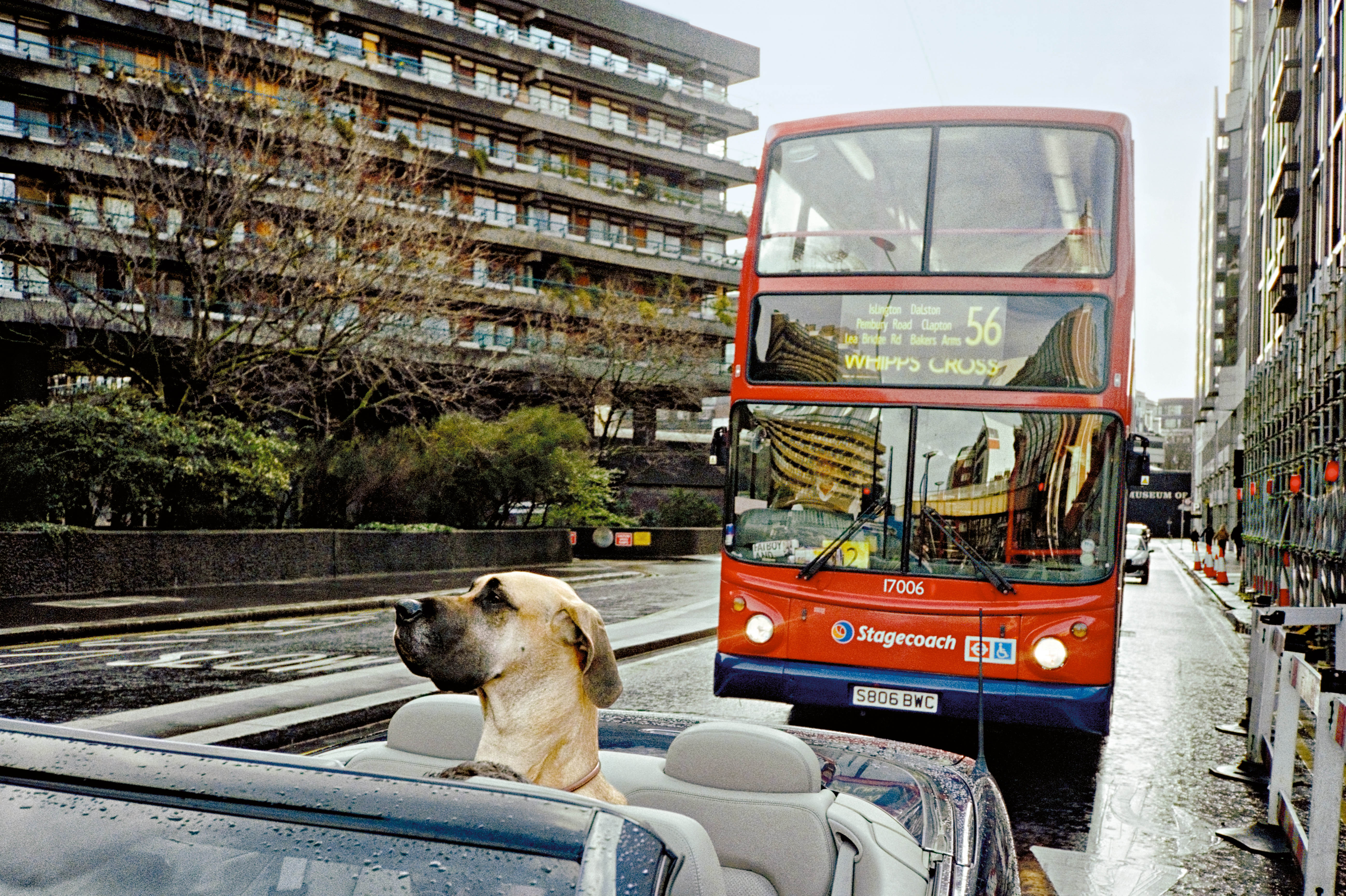 15.11.25 MELBOURNE - The Unexpected Ordinary: Street Photography with Matt Stuart