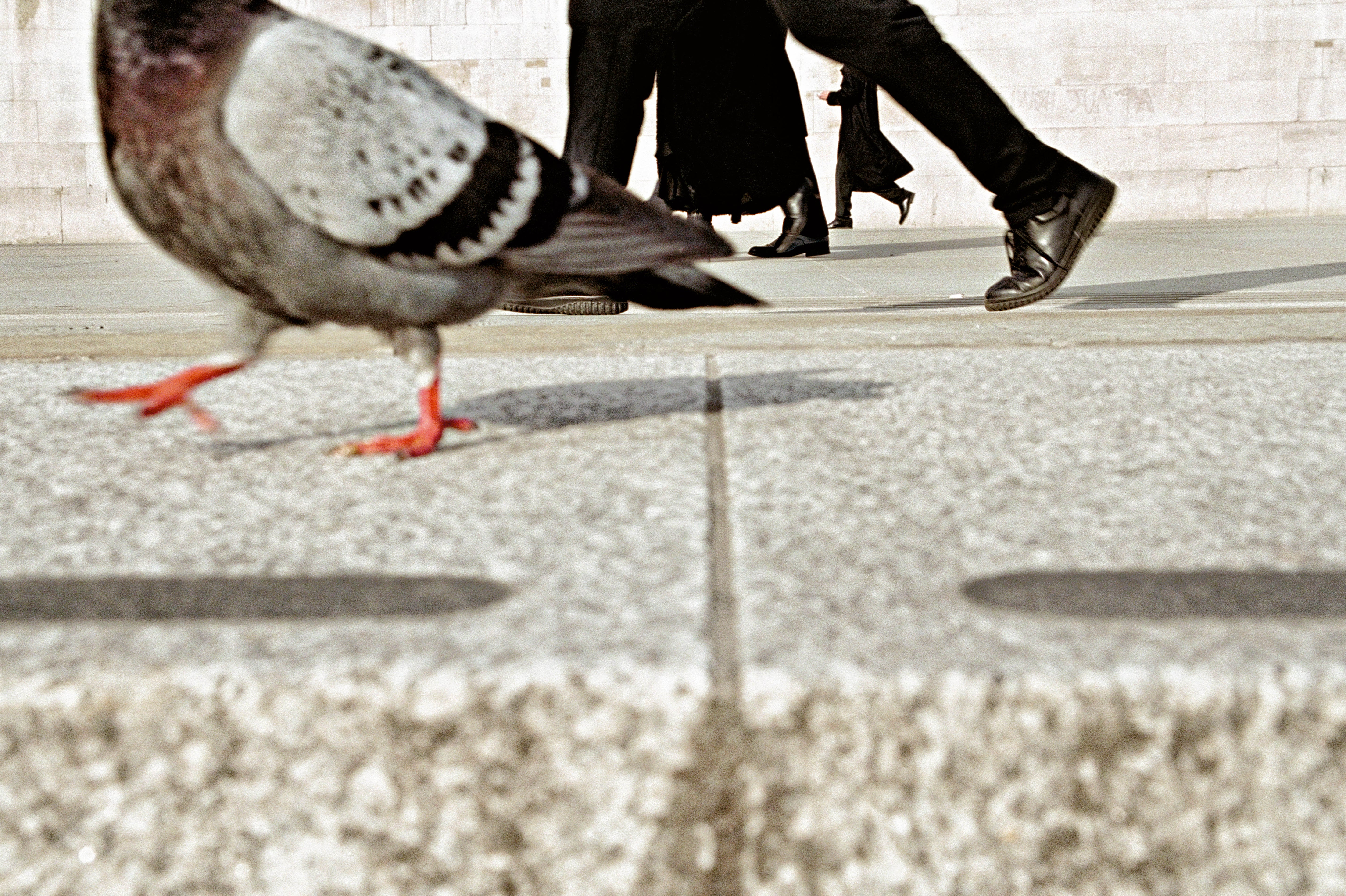 15.11.25 MELBOURNE - The Unexpected Ordinary: Street Photography with Matt Stuart