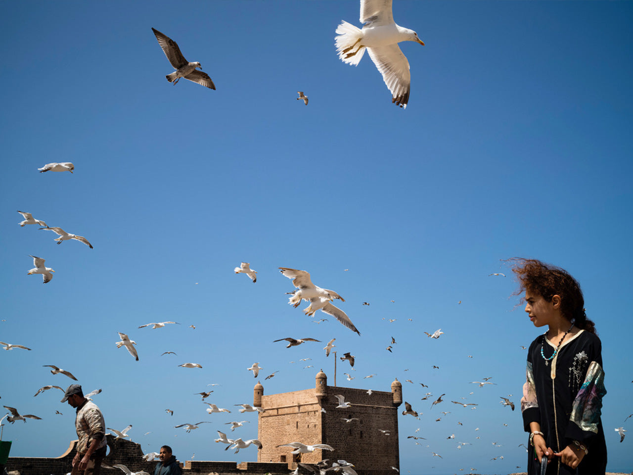 13.10.25 - MOROCCO - A Photographer's Visual Odyssey with Jesse Marlow & Stephen Dupont